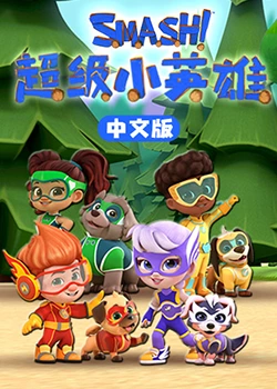 影视站最新功能有哪些方面